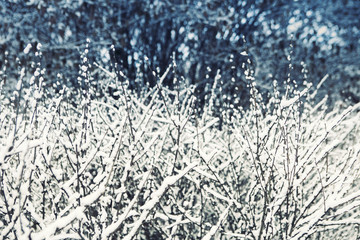 Beautiful winter texture. The freshly fallen snow. Winter on the street. The route covered with snow