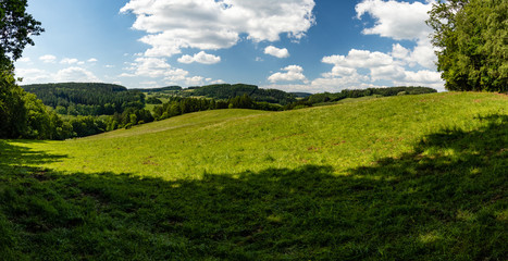 Meadow view, pasture with fresh green grass and flowers. Amazing spring landscape. Free, relax, nature, piece, quiet, rural, agriculture.