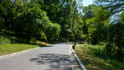 Alley in the park 