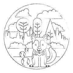 pet dog with balls in the park city