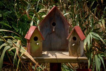 Tree rustic wooden bird houses