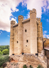 Naklejka premium Castle of Valencia de Don Juan in Leon (Spain)