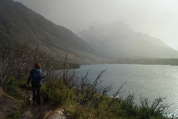 Fototapeta na wymiar Chile, Patagonia, Torres Del Paine Park