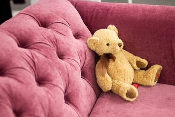 Teddy bear on a chair, alone