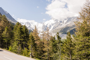 Bernina, Berninapass, Passstrasse, Morteratsch, Gletscher, Bergstrasse, Lärchenwald, Wanderweg, Val Bernina, Alpen, Graubünden, Sommer, SChweiz