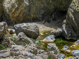 Wildnis auf Kreta, Griechenland