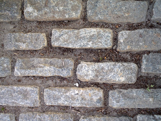 Cobble stone path