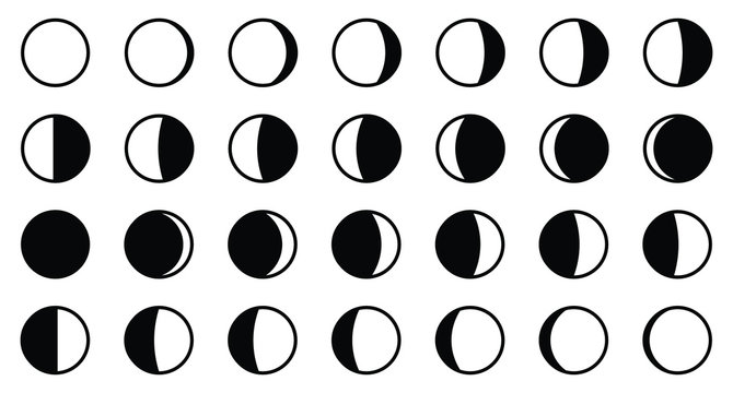 Lunar / moon phases cycle. All 28 shapes for each day - new, full, waxing, waning crescent, first, third quarter, gibbous.