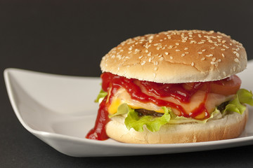 Appetizing hamburger