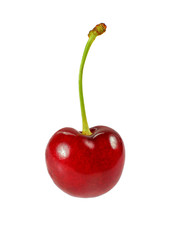 Single red cherry (Prunus avium fruit) isolated on white background