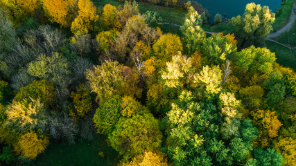 Golden autumn background, aerial view of forest with yellow trees and beautiful lake landscape from above, Kiev, Goloseevo forest, Ukraine
