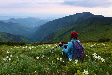 Fototapeta na wymiar The tourist girl with back sack and tracking sticks sits on the lawn of daffodils. Relaxation. Mountain landscapes. Wonderful summer day. Location the Carpathian Mountains, Marmarosy, Ukraine.