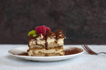 Homemade Tiramisu -  coffee-flavoured Italian dessert.