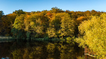 Golden autumn background, aerial view of forest with yellow trees and beautiful lake landscape from above, Kiev, Goloseevo forest, Ukraine
