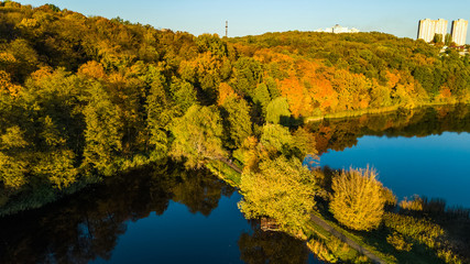 Golden autumn background, aerial view of forest with yellow trees and beautiful lake landscape from above, Kiev, Goloseevo forest, Ukraine
