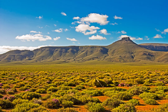 Landscape of green mountain in Tankwa Karoo