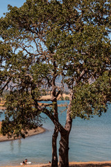 The beauty of California