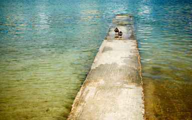 Two ducks on the pier on Manoel Island Malta