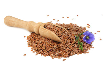 flax seeds in wooden spoon with flower isolated on white background. flaxseed or linseed. Cereals