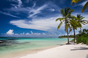 Palms on tropical beach in Mauritius Island, Indian Ocean