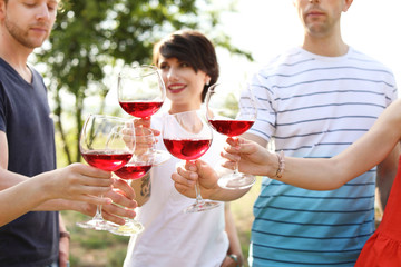 Young people with glasses of wine outdoors. Summer picnic