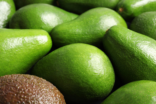 Many ripe fresh avocados as background