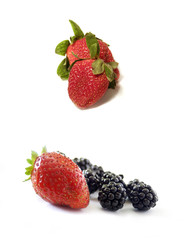 Berries isolated on white