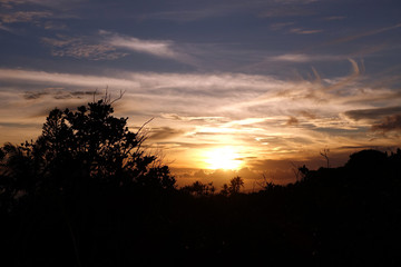 Obraz na płótnie Canvas Sunset past tropical silhouette of trees