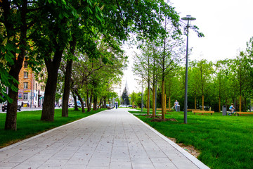 Green summer park