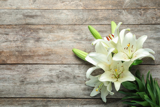 Lily Easter Images – Browse 21,889 Stock Photos, Vectors, and Video | Adobe  Stock