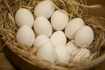 Eggs on Basket