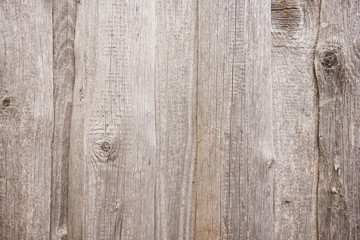 Wood wall background or texture. Natural pattern wood grey background