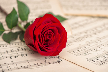 Naklejka premium Red rose flower music notes sheet Holidays background