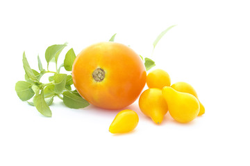 Yellow tomatoes and basil isolated on white