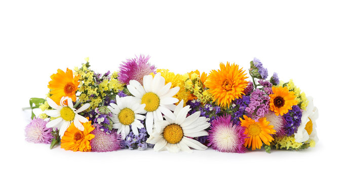 Bunch of beautiful wild flowers on white background