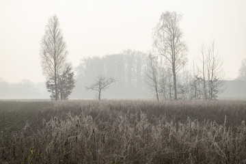 Obraz na płótnie Canvas Winterliche Landschaft im Münsterland