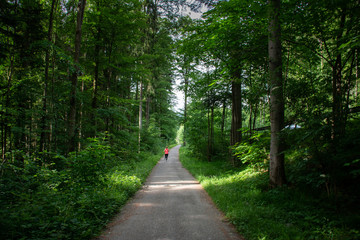 Fototapeta premium Young woman running along path through green forest.
