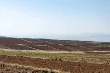 Remote view of dirt roads between plowed areas