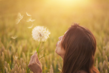 Beautiful young woman blows dandelion in a wheat field in the summer sunset. Beauty and summer...