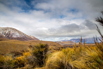 Tussocks and other plants grow in the valley of a high country farm