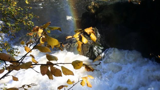 Spray of waterfall to form rainbows. splashes of water glow and shimmer in the sun

