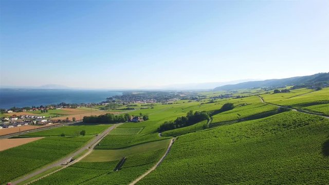 4K Aerial footage of Vineyard fields between Lausanne and Geneva in Switzerland -UHD