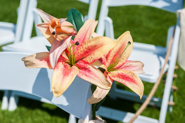 Pink and orange Stargazer lily flowers embellish  the white rows of chairs at the wedding ceremony venue.
