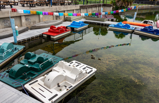 Paddle boat rental on lake - Hollywood, Florida, USA