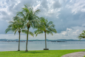 Palm trees with water, fish farms and canoeing