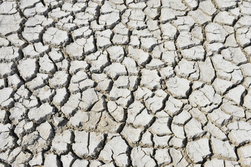 The parched soil