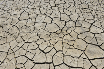 The parched soil