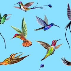 Obraz premium Seamless watercolor pattern from multi-colored hummingbirds.