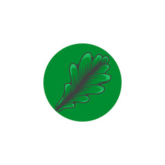 oak leaf logo template vector illustration