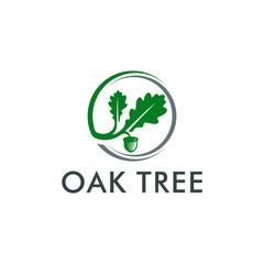 oak tree logo template vector illustration